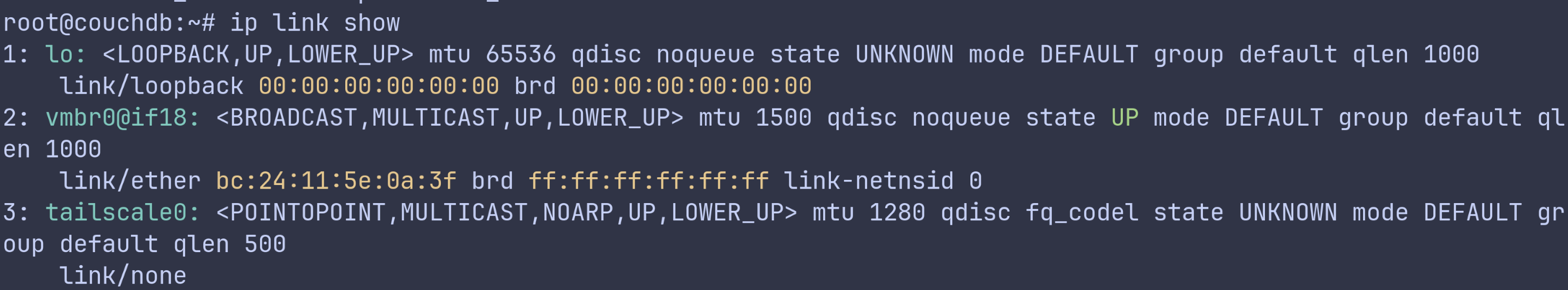 IP link show after installation