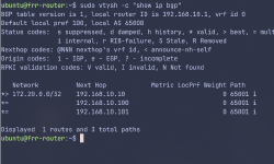 Featured image of post Proxmox Homelab 구성 - 3. 클러스터 앞단에 BGP라우터 설치
